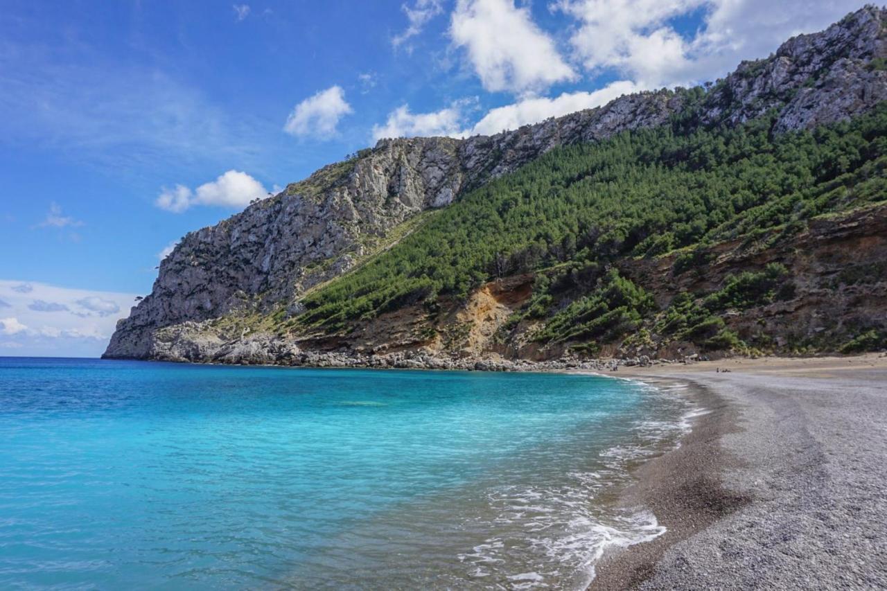 - 35117 Mallorca * Pollenca